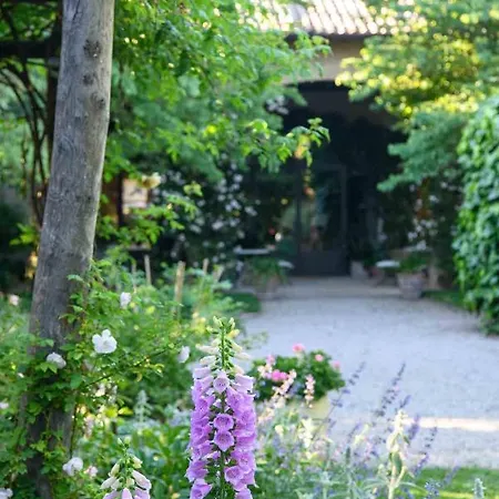 维力诺迪博尔博拉诺住宿加早餐旅馆 帕爾馬