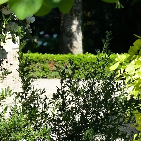 Villino Di Porporano B&B 4*