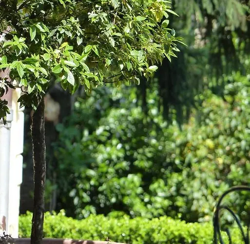 Villino Di Porporano